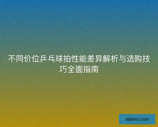 不同价位乒乓球拍性能差异解析与选购技巧全面指南